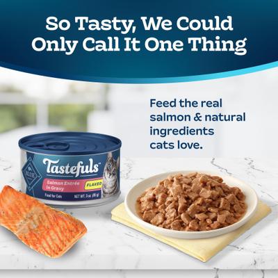 Show full view: Blue Buffalo Tastefuls Salmon Entrée in Gravy Flaked Wet Cat Food, 3-oz can, case of 24 slide 4 of 11
