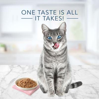 Show full view: Blue Buffalo Tastefuls Tender Morsels Chicken Entrée Wet Cat Food, 3-oz can, case of 24 slide 4 of 9