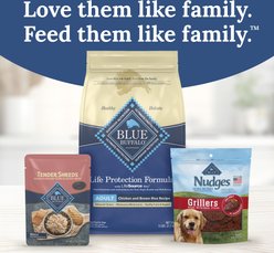Blue Buffalo Tender Shreds Salmon & Chicken Toppers in Savory Broth, Wet Dog Food, 2.5-oz bag, 24 count slide 2 of 9