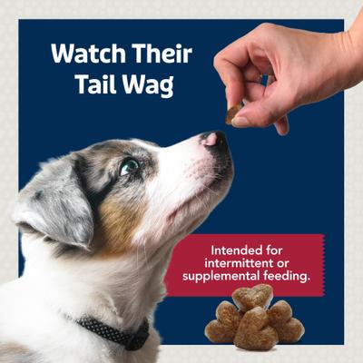 Show full view: Blue Buffalo To-Go Bits Tender Beef Recipe Dog Treats, 12 count slide 9 of 11