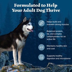 Blue Buffalo Wilderness Chicken Recipe Adult High-Protein Grain-Free Dry Dog Food, 24-lb bag