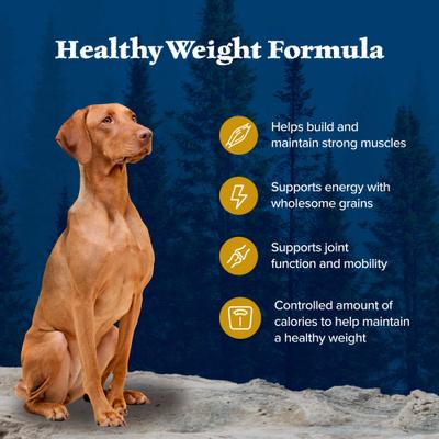 Show full view: Blue Buffalo Wilderness Chicken Recipe High-Protein Healthy Weight Adult Dry Dog Food, 24-lb bag slide 5 of 12