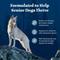 Show in main carousel: Blue Buffalo Wilderness Chicken Recipe High-Protein Senior Dry Dog Food, 4.5-lb bag slide 5 of 12