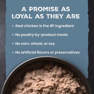 Blue Buffalo Wilderness Chicken & Salmon High-Protein Grain-Free Adult Canned Dog Food, 12.5-oz, case of 12