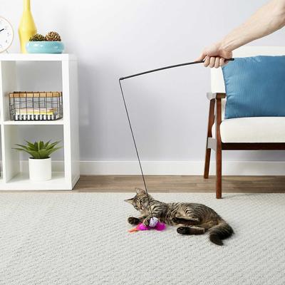 Show full view: Blue Buffalo Wilderness Chicken & Turkey Grain-Free Cat Treats, 2-oz bag + Frisco Bird Teaser with Feathers Cat Toy, Purple slide 8 of 8