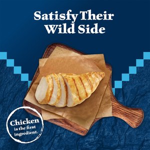 Blue Buffalo Wilderness Chicken & Turkey Recipe Grain-Free Soft Cat Treats, 2-oz bag