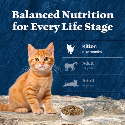 Show full view: Blue Buffalo Wilderness High Protein Natural Grain-Free Chicken Kitten Dry Cat Food, 5-lb bag slide 9 of 12
