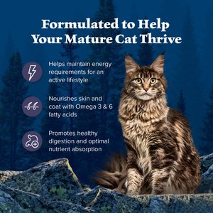 Blue Buffalo Wilderness High Protein Natural Grain-Free Chicken Mature Dry Cat Food, 4-lb bag