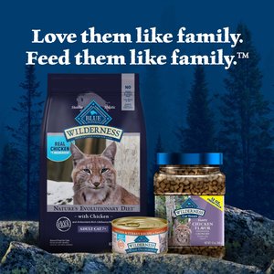 Blue Buffalo Wilderness High Protein Natural Grain-Free Chicken Mature Dry Cat Food, 4-lb bag