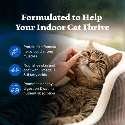 Show full view: Blue Buffalo Wilderness Indoor Chicken Recipe Grain-Free Dry Food + Bursts with Paw-Licken Chicken Cat Treats slide 5 of 7