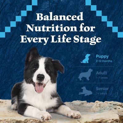 Show full view: Blue Buffalo Wilderness Large Breed Puppy High Protein Natural Chicken & Wholesome Grains Dry Dog Food, 24-lb bag slide 9 of 12