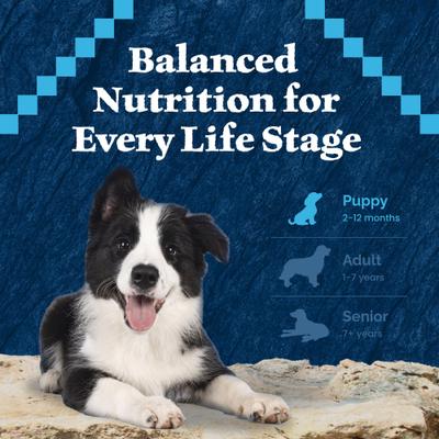 Show full view: Blue Buffalo Wilderness Large Breed Puppy High Protein Natural Chicken & Wholesome Grains Dry Dog Food, 28-lb bag slide 9 of 12