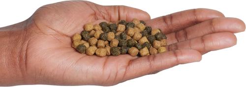 Show full view: Blue Buffalo Wilderness Natures Evolutionary Diet Chicken High-Protein Grain-Free Adult Indoor Dry Cat Food, 2-lb bag slide 4 of 12