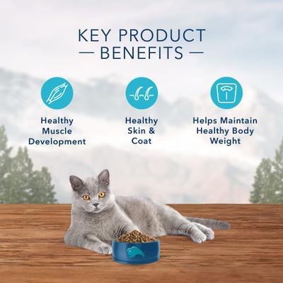 Show full view: Blue Buffalo Wilderness Natures Evolutionary Diet Chicken High-Protein Grain-Free Adult Indoor Dry Cat Food, 2-lb bag slide 9 of 12