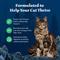 Show in main carousel: Blue Buffalo Wilderness Natures Evolutionary Diet Duck High-Protein Grain-Free Adult Dry Cat Food, 11-lb bag slide 5 of 12