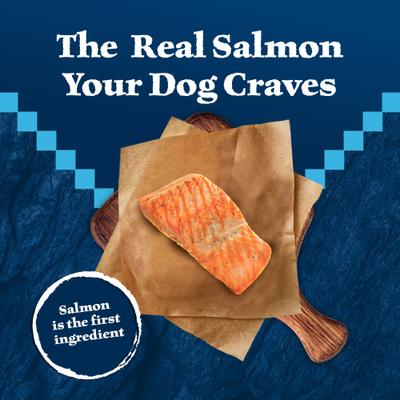 Show full view: Blue Buffalo Wilderness Salmon Dry Food + Trail Treats Salmon Biscuits Dog Treats slide 4 of 10