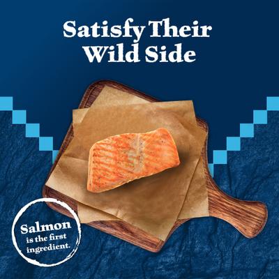 Show full view: Blue Buffalo Wilderness Salmon Formula Crunchy Grain-Free Cat Treats, 12-oz tub slide 4 of 12