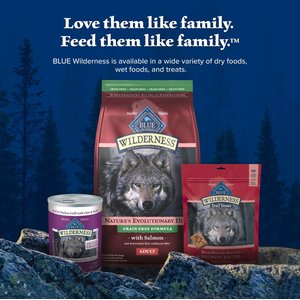 Blue Buffalo Wilderness Salmon Recipe Adult High-Protein Grain-Free Dry Dog Food, 24-lb bag