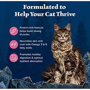 Blue Buffalo Wilderness Salmon Recipe Grain-Free Dry Cat Food, 11-lb bag