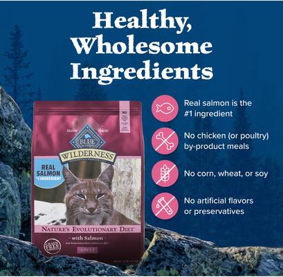 BLUE BUFFALO Wilderness Salmon Recipe Grain-Free Dry Cat Food, 11