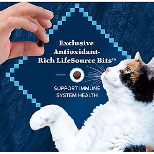 Blue Buffalo Wilderness Salmon Recipe Grain-Free Dry Cat Food, 11-lb bag