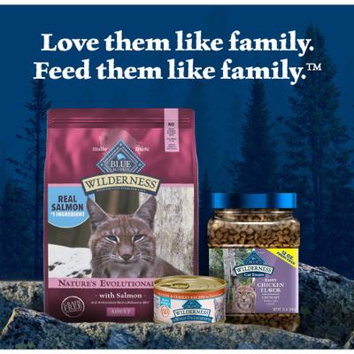 Show full view: Blue Buffalo Wilderness Salmon Recipe Grain-Free Dry Cat Food, 11-lb bag slide 10 of 12