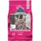 Show in main carousel: Blue Buffalo Wilderness Salmon Recipe Grain-Free Dry Cat Food, 4-lb bag slide 1 of 12