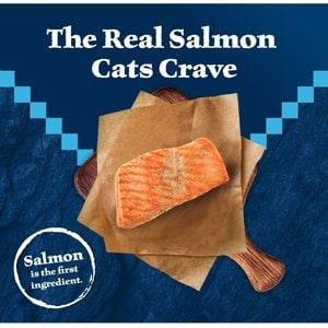 Blue Buffalo Wilderness Salmon Recipe Grain-Free Dry Cat Food, 4-lb bag
