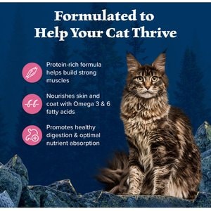 Blue Buffalo Wilderness Salmon Recipe Grain-Free Dry Cat Food, 4-lb bag