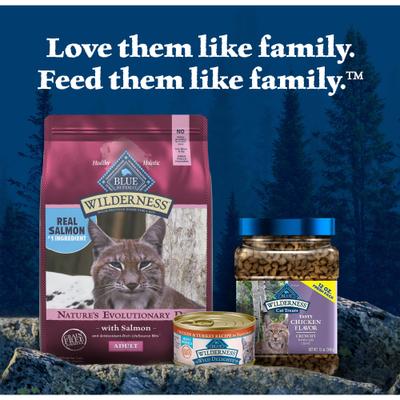 Show full view: Blue Buffalo Wilderness Salmon Recipe Grain-Free Dry Cat Food, 4-lb bag slide 10 of 12