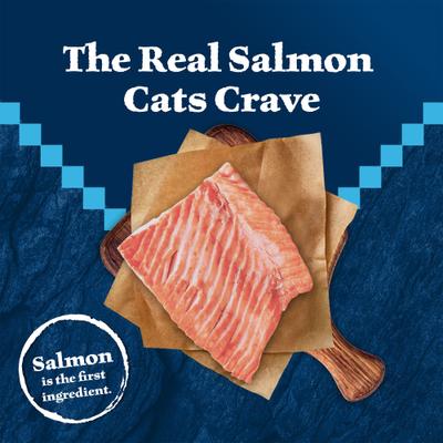 Show full view: Blue Buffalo Wilderness Salmon Recipe Grain-Free Dry Cat Food, 5-lb bag slide 4 of 12