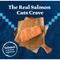 Show in main carousel: Blue Buffalo Wilderness Salmon Recipe Grain-Free Dry Cat Food, 9.5-lb bag slide 4 of 12