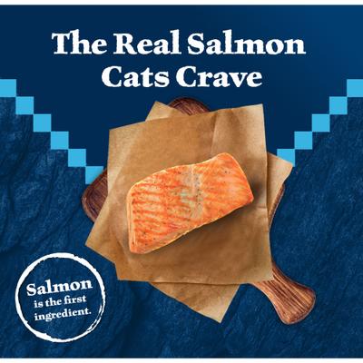 Show full view: Blue Buffalo Wilderness Salmon Recipe Grain-Free Dry Cat Food, 9.5-lb bag slide 4 of 12