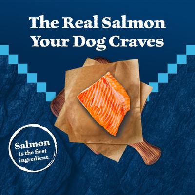 Show full view: Blue Buffalo Wilderness Salmon Recipe High-Protein Adult Dry Dog Food, 13-lb bag slide 4 of 12