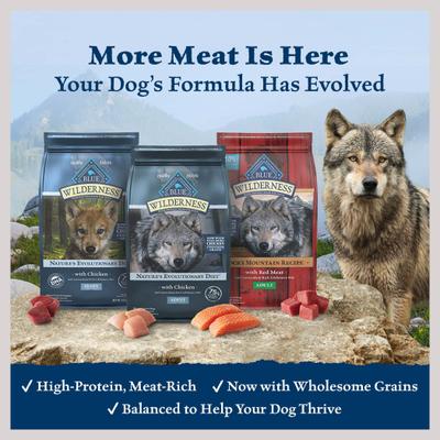 Show full view: Blue Buffalo Wilderness Salmon Recipe High-Protein Adult Dry Dog Food, 48-lb bundle slide 3 of 12