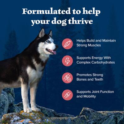 Show full view: Blue Buffalo Wilderness Salmon Recipe High-Protein Adult Dry Dog Food, 24-lb bag slide 5 of 12