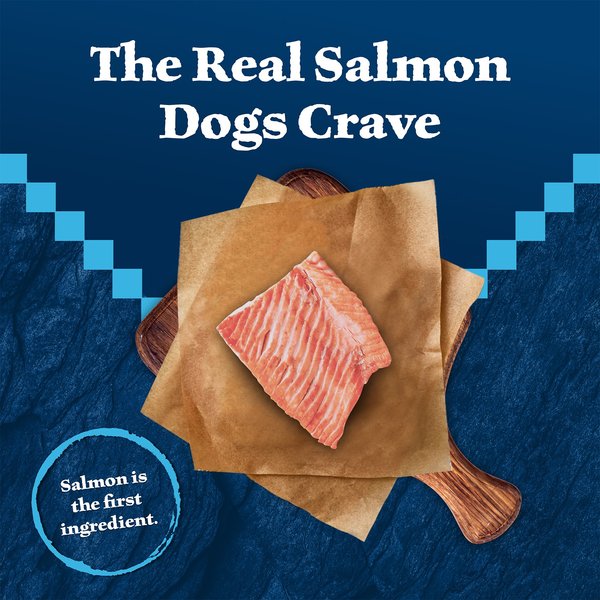 Blue Buffalo Wilderness Trail Treats Salmon Wild Bits Grain-Free Training Dog Treats