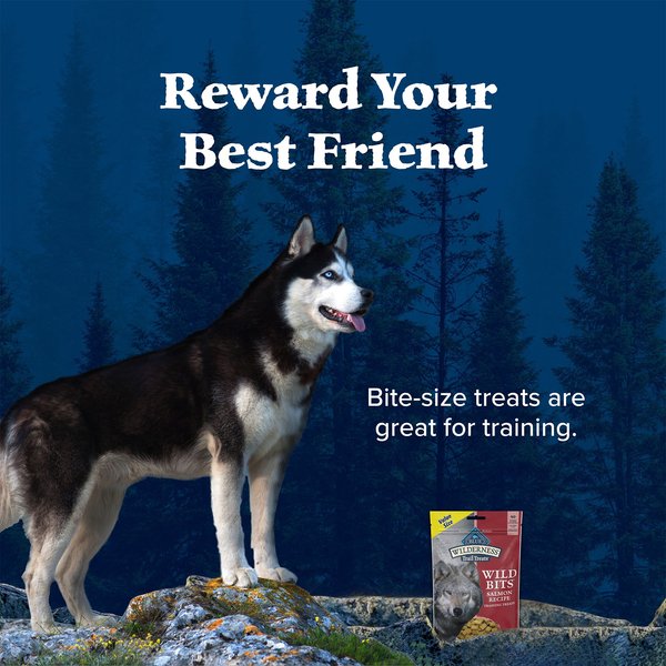 Blue Buffalo Wilderness Trail Treats Salmon Wild Bits Grain-Free Training Dog Treats