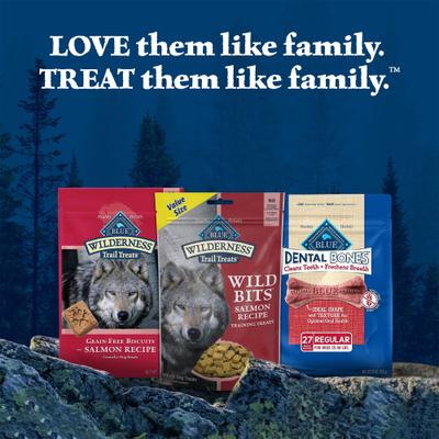 Show full view: Blue Buffalo Wilderness Trail Treats Wild Bits Salmon Recipe Grain-Free Dog Training Treats, 10-oz bag slide 10 of 12