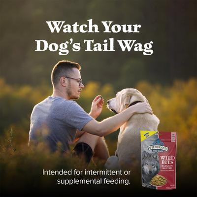 Show full view: Blue Buffalo Wilderness Trail Treats Wild Bits Salmon Recipe Grain-Free Dog Training Treats, 10-oz bag slide 9 of 12