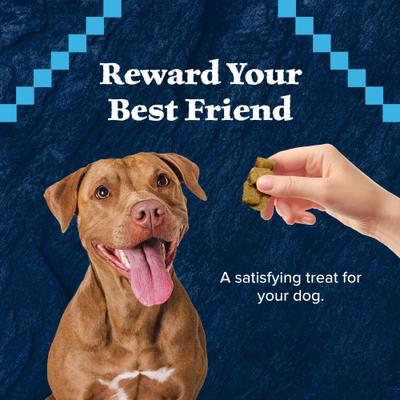 Show full view: Blue Buffalo Wilderness Trail Treats Wild Bits Salmon Recipe Grain-Free Dog Training Treats, 4-oz bag slide 5 of 12