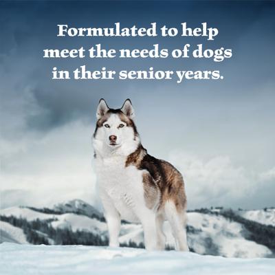 Show full view: Blue Buffalo Wilderness Turkey & Chicken Grill Grain-Free Senior Canned Dog Food, 12.5-oz, case of 12 slide 5 of 12