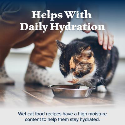 Show full view: Blue Buffalo Wilderness Turkey Grain-Free Canned Cat Food, 5.5-oz, case of 24 slide 8 of 12