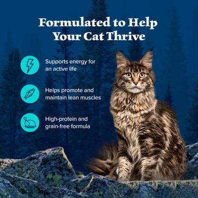 Show full view: Blue Buffalo Wilderness Wild Delights Meaty Morsels Chicken & Trout Recipe in Tasty Gravy High-Protein Grain-Free Wet Cat Food, 3-oz can, 24 count slide 5 of 12