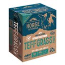 Blue Mountain Hay High Altitude Teff Grass Hay Easy Flake Box Horse Feed, 50-lb