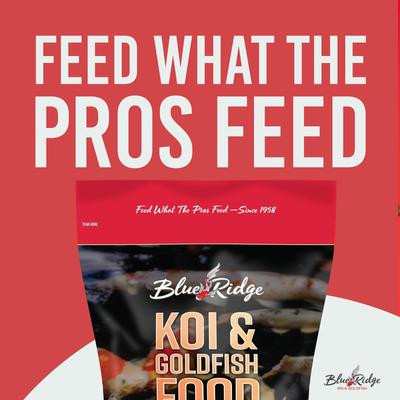 Show full view: Blue Ridge Koi & Goldfish Blend Pellet Growth Formula Koi & Goldfish Food, 2-lb bag slide 9 of 10