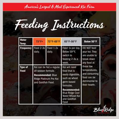 Show full view: Blue Ridge Koi & Goldfish Blend Pellet Growth Formula Koi & Goldfish Food, 5-lb bag slide 4 of 10