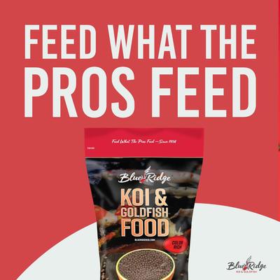 Show full view: Blue Ridge Koi & Goldfish Color Rich Formula Koi & Goldfish Food, 2-lb bag slide 9 of 10