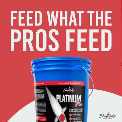 Show full view: Blue Ridge Koi & Goldfish Platinum Pro Formula Koi & Goldfish Food, 14-lb bucket slide 7 of 8