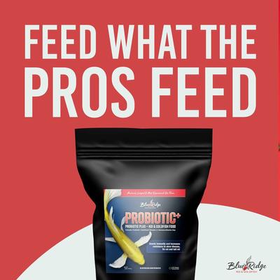 Show full view: Blue Ridge Koi & Goldfish Probiotic Plus Formula Koi & Goldfish Food, 2-lb bag slide 9 of 10